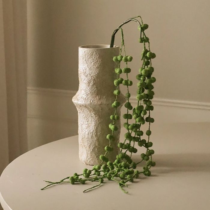 Botane Green Coral Fountain Amaranthus Flower