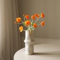 Botane Orange Poppy Flower