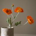 Botane Orange Poppy Flower
