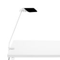 HAY Apex Desk Clip Lamp