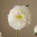 Botane White Peony Flower