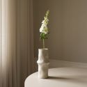 Botane White Delphinium Flower