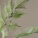 Botane Green Fern Leaves