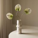 Botane Light Green Anthurium Flower