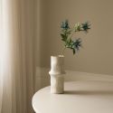 Botane Blue Eryngo 