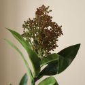 Botane Rose Skimmia Berry Branch
