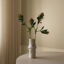 Botane Rose Skimmia Berry Branch