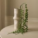 Botane Green Coral Fountain Amaranthus Flower