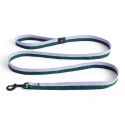 HAY Dog Flat Leash