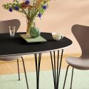 Fritz Hansen Series 7 Chair - Coloured