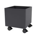 Montana Colour Box I
