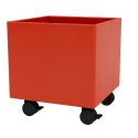 Montana Colour Box I