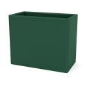 Montana Collect Organiser