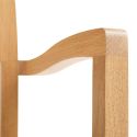 HAY Pastis Dining Armchair
