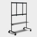 Pedestal Rover TV Stand