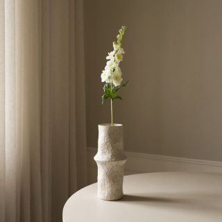 Botane White Delphinium Flower