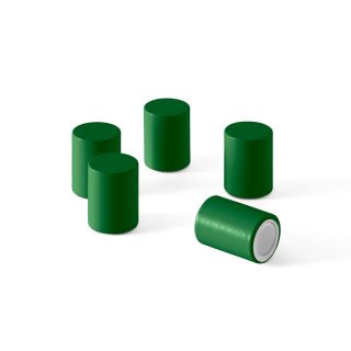 Montana Magnets in Parsley