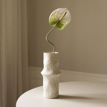 Botane Light Green Anthurium Flower - Single Stem
