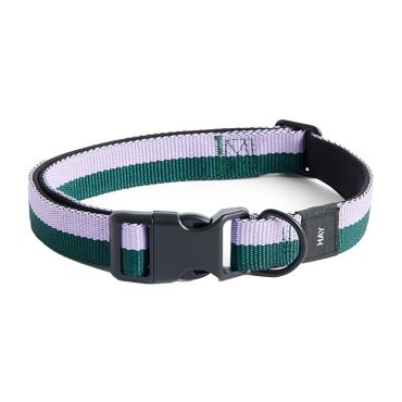 HAY Dog Flat Collar