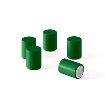 Montana Magnets in Parsley