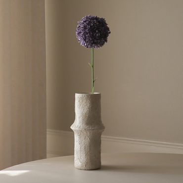 Botane Purple Allium Giganteum