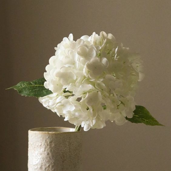 Botane White Hydrangea Flower