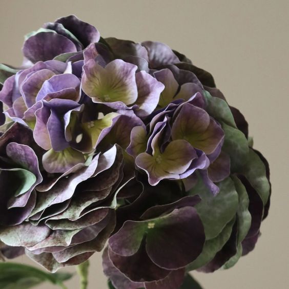 Botane Purple Hydrangea Flower