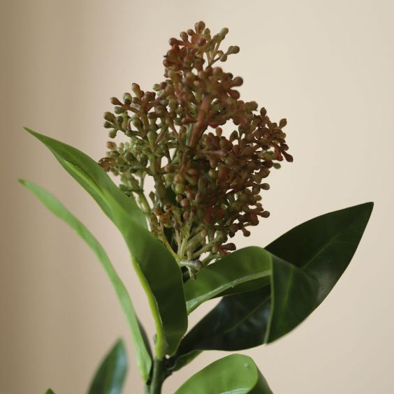 Botane Rose Skimmia Berry Branch