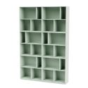Montana Read Bookcase