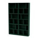 Montana Read Bookcase