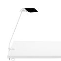 HAY Apex Desk Clip Lamp