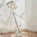 AYTM Glacies Vase - Small 