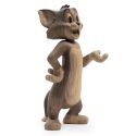 Boyhood Tom & Jerry - Tom