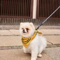 HAY Dog Braided Leash