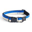 HAY Dog Flat Collar