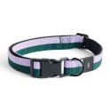 HAY Dog Flat Collar