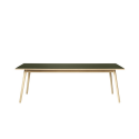 FDB Møbler C35C Dining Table