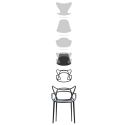 Kartell Masters Chair