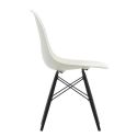 Vitra Eames DSW Plastic Chair