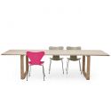 Fritz Hansen Essay Dining Table