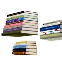 Umbra Conceal Invisible Book Shelf