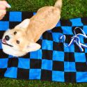 HAY Dog Flat Leash