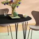 Fritz Hansen Series 7 Chair - Coloured