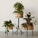 Audo Copenhagen Umanoff Planter 27