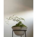 Audo Copenhagen Daiza Planter Ø48