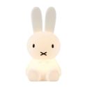 Mr Maria Bundle of Light - Miffy