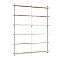 MOEBE Wall Mounted Shelving System WS.200.2.B
