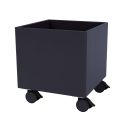 Montana Colour Box I