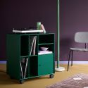 Montana Spin II Vinyl Storage Unit
