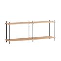 MOEBE Shelving System S.65.2.B